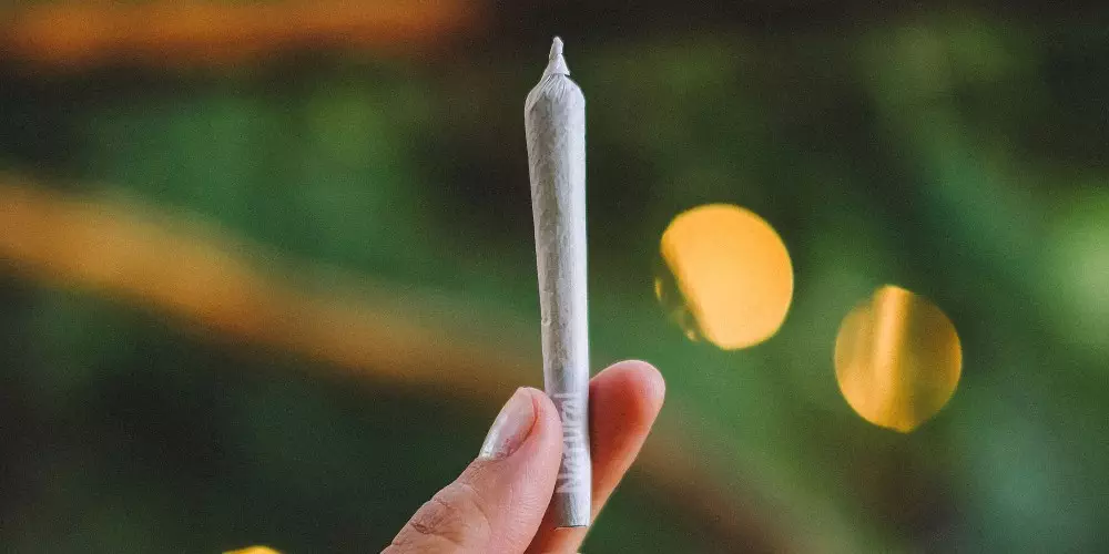 How To Pack A Cone Natural Mystic Pre Rolled Hemp Cones