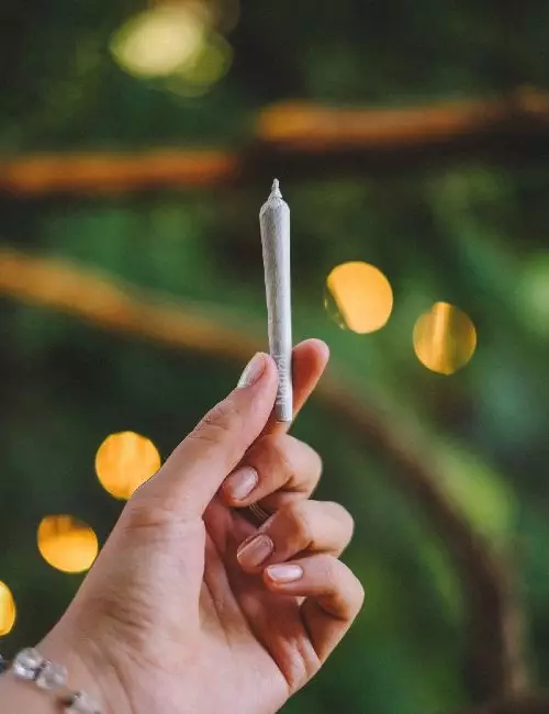 hand holding a rolled joint