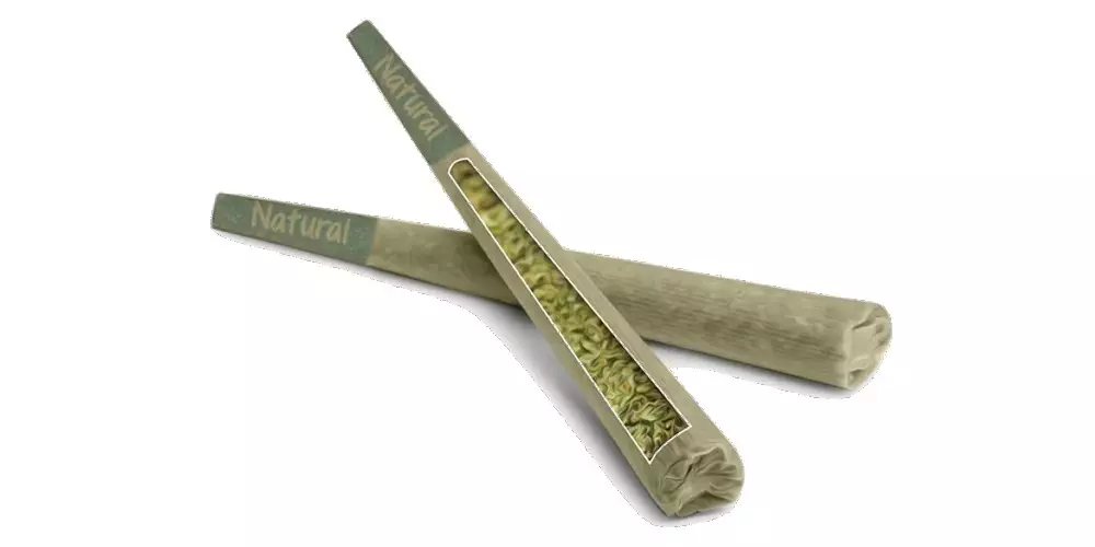 Two pre roll cones with a cut out showing cannabis inside