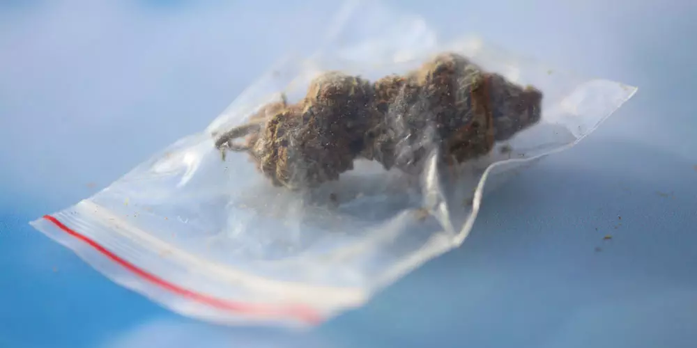 dried medical marijuana in a small zip lock baggie