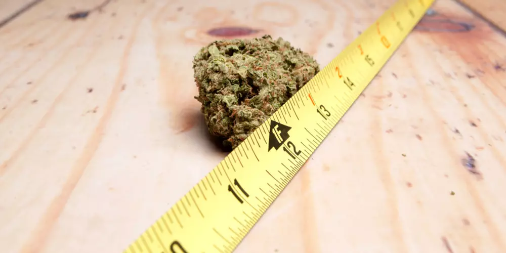 tape measure and marijuana bud
