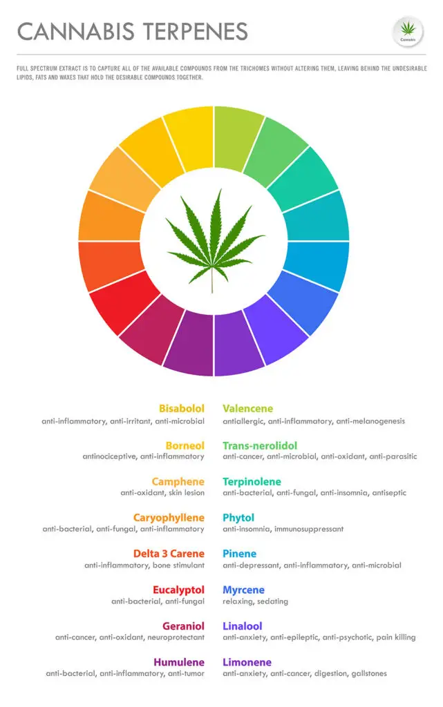 infographic showing various cannabis terpenes and their effects