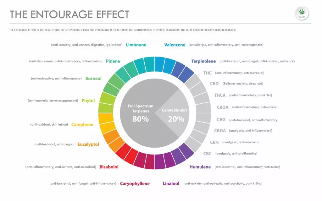 graphic of the entourage effect in cannabis