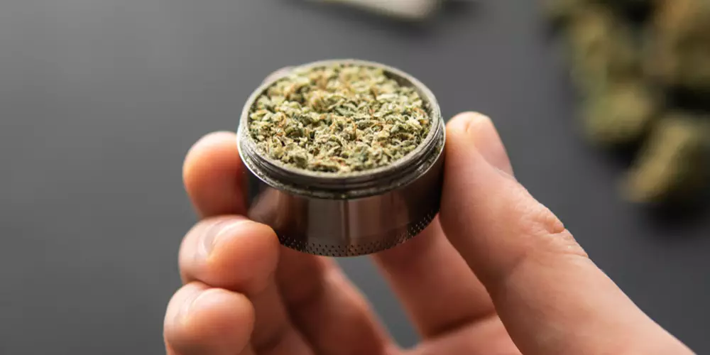in hand grinder with fresh marijuana
