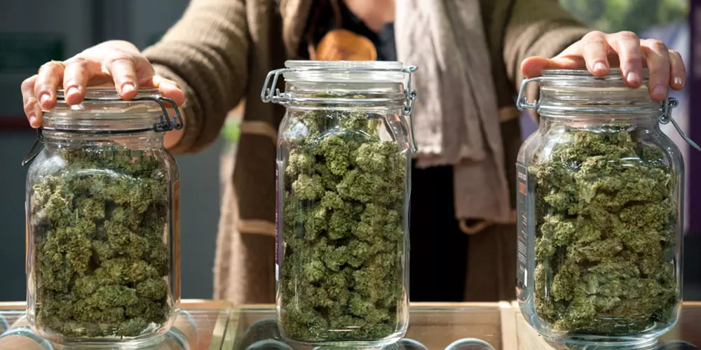 glass jars of cannabis buds in front of a woman
