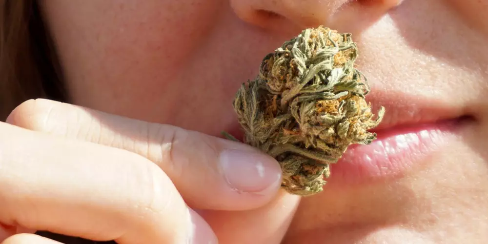 a woman smells marijuana close to the lips