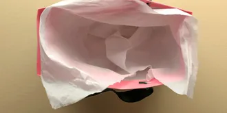 empty gift bag from above with tissue paper lining