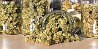 mason jars filled with marijuana