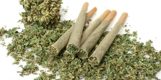 pre rolled marijuana together with chopped cannabis buds