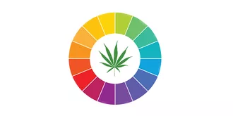 A colorful circle with a marijuana leaf in the middle.